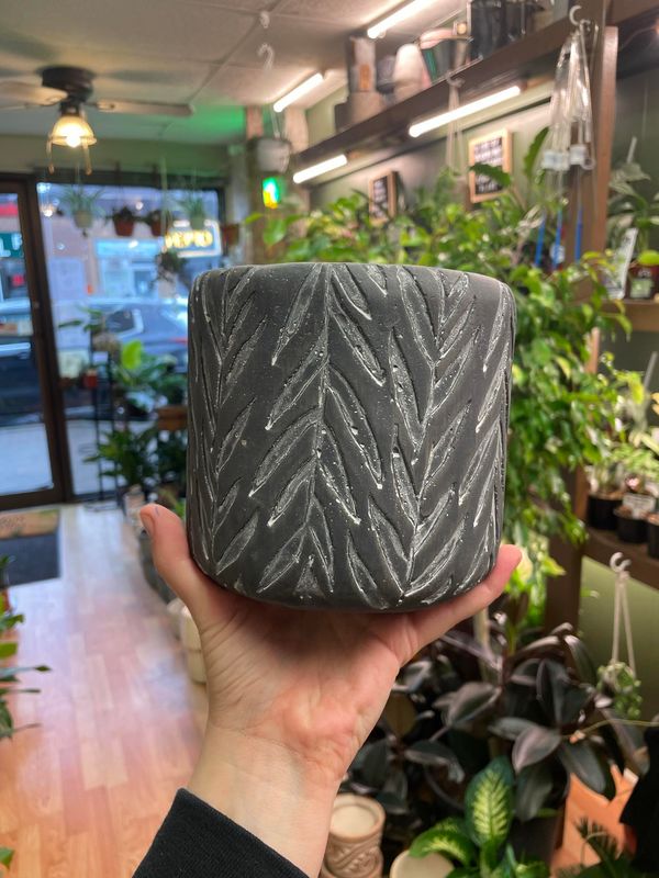 5.5&quot; Dark Leaf Pot