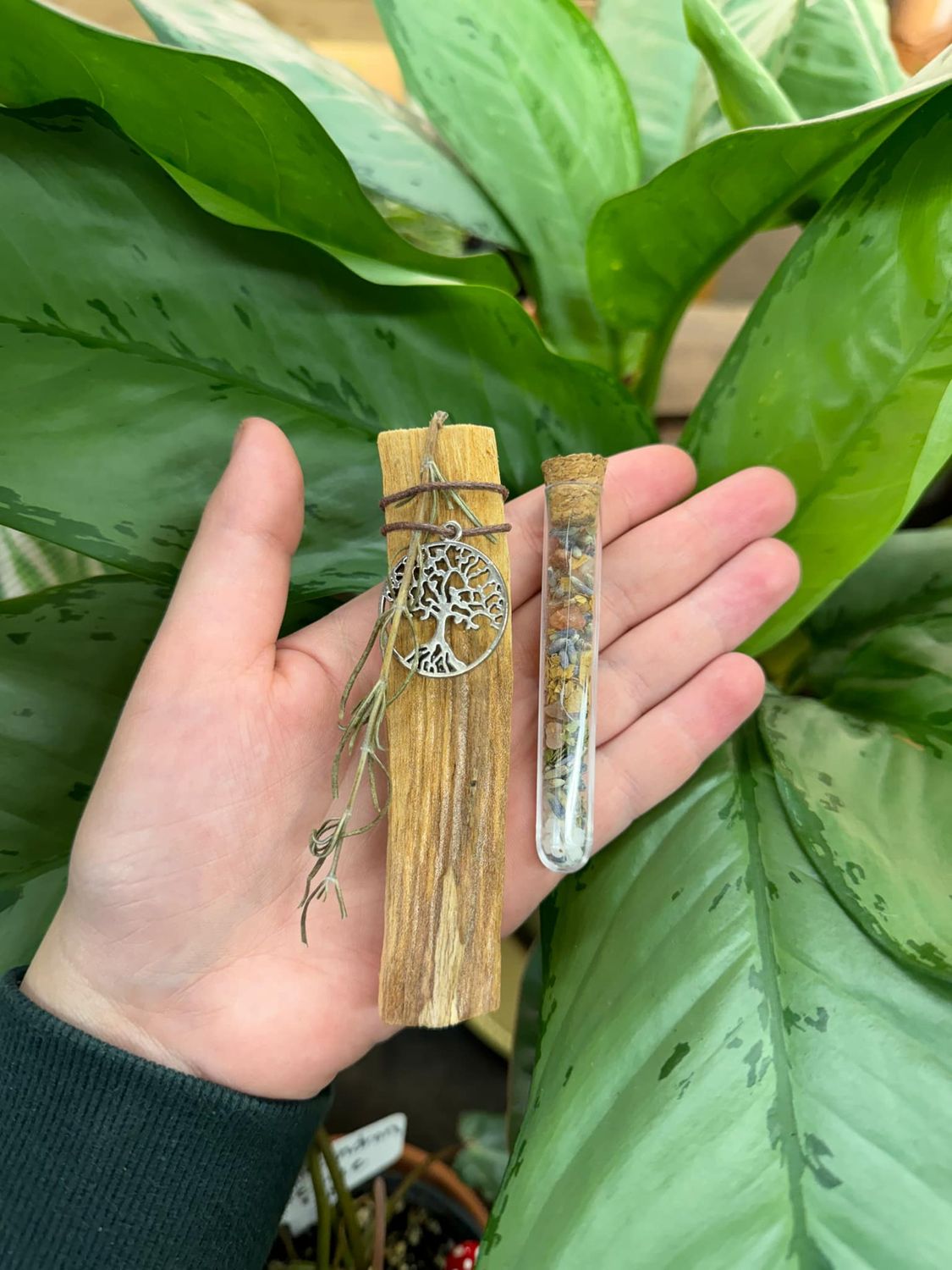 Mimi&#39;s Palo Santo Wood &amp; Luck Spell Bundle