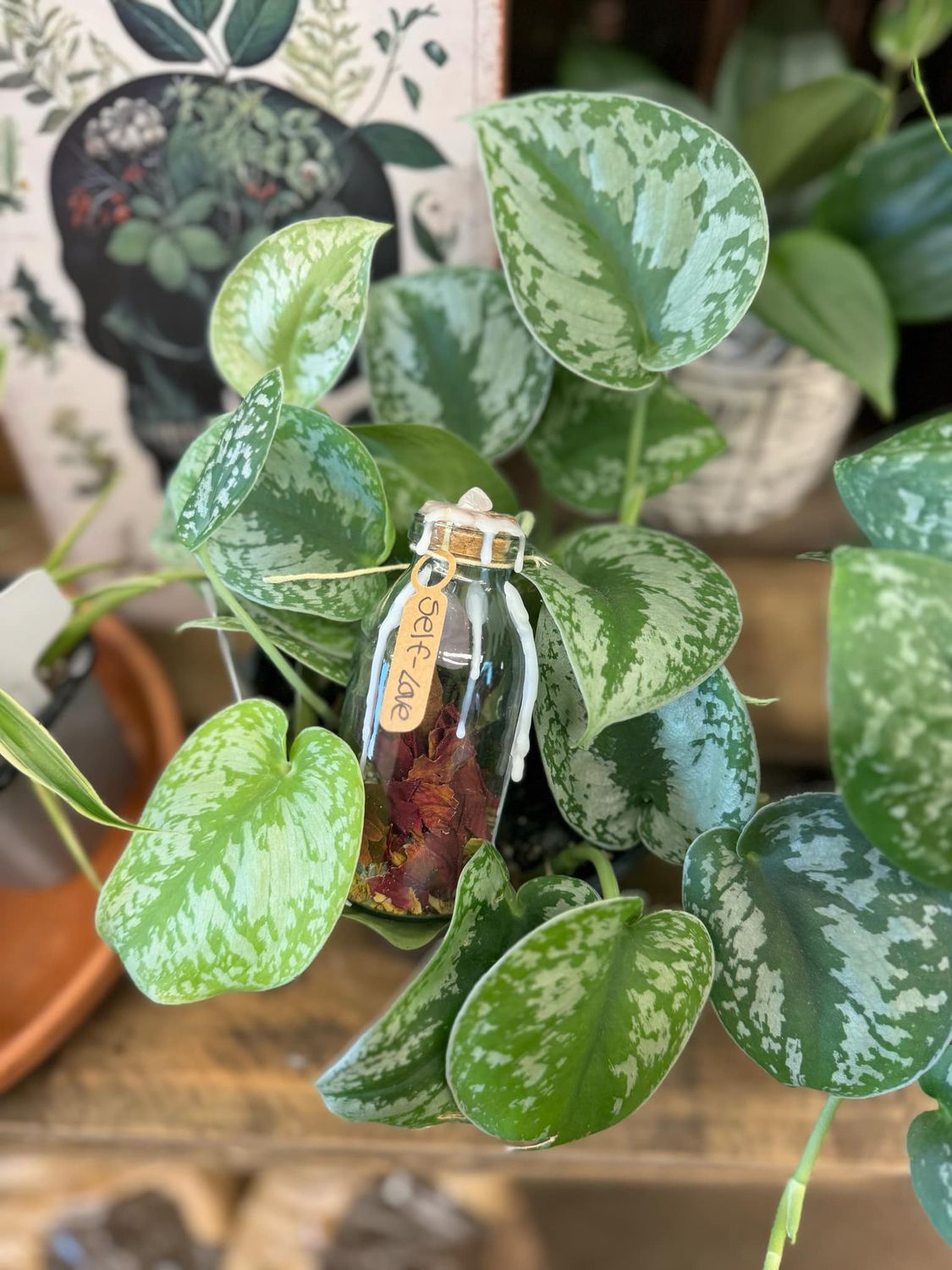 Mimi&#39;s Self Love Spell Jar