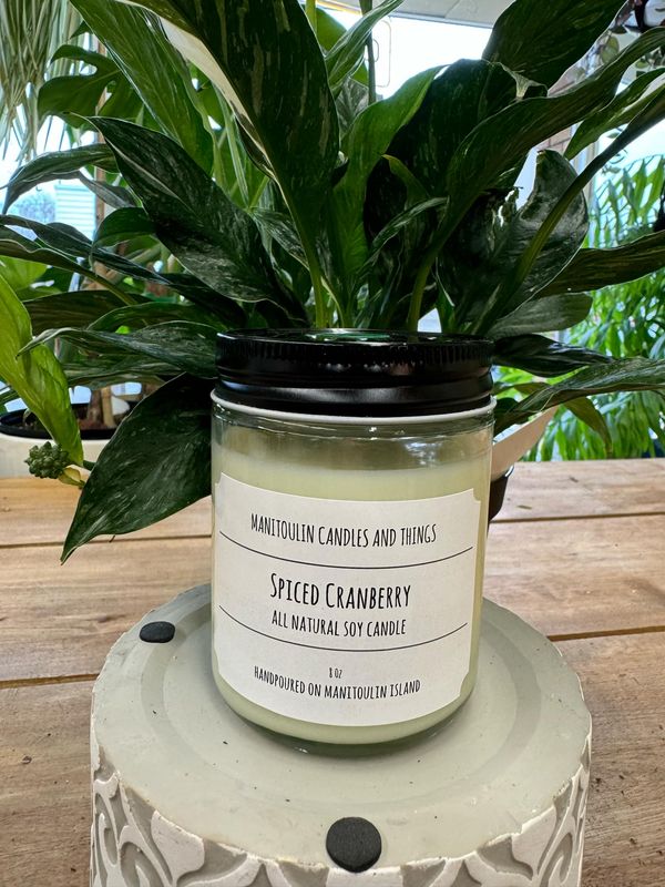 Spiced Cranberry Scented Candle - 8 oz Clear Jar