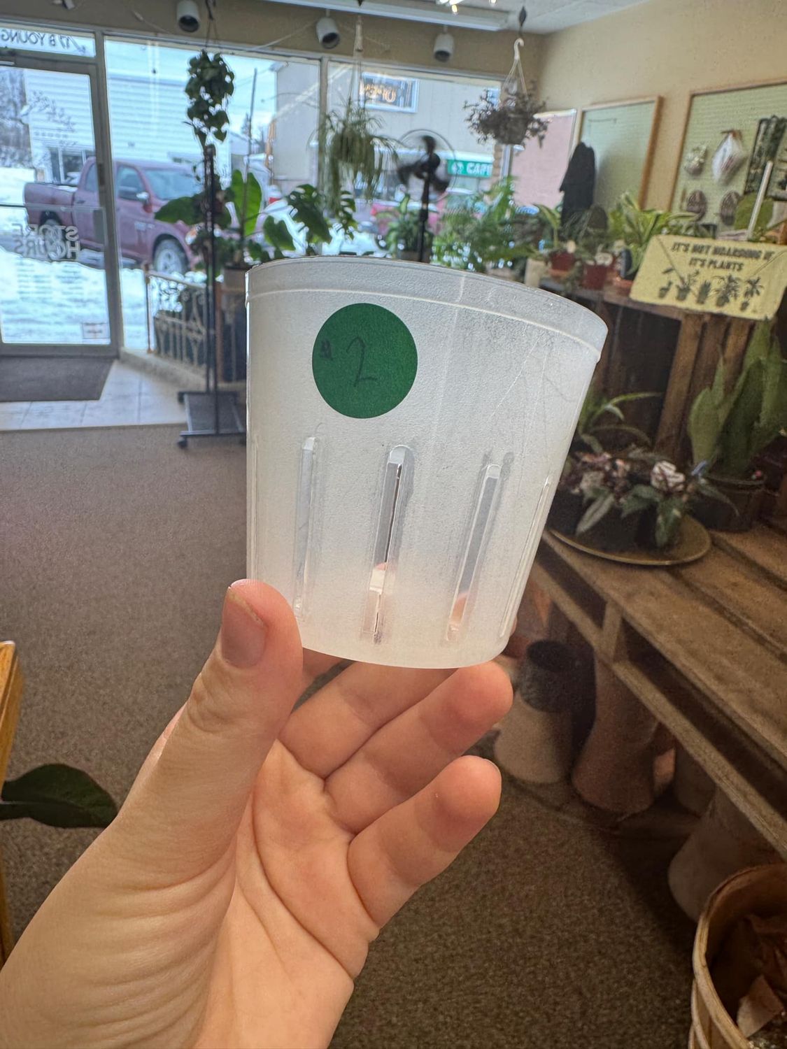 3&quot; Clear Nursery Pot