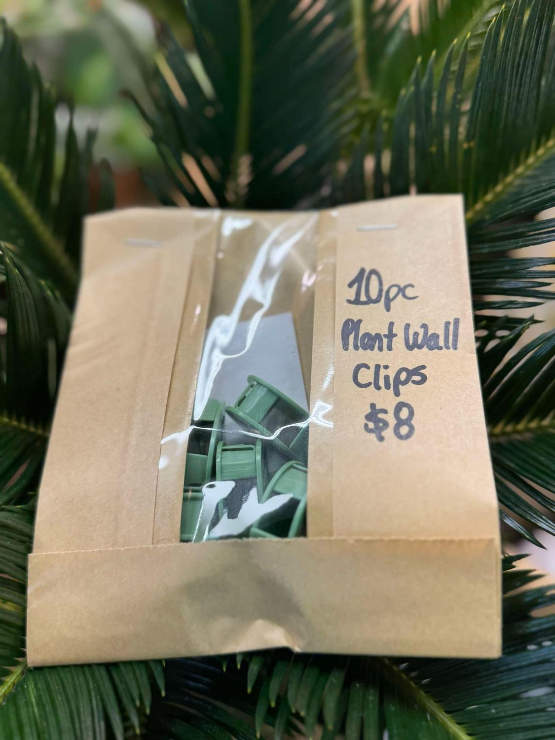 10PC Wall Plant Clips