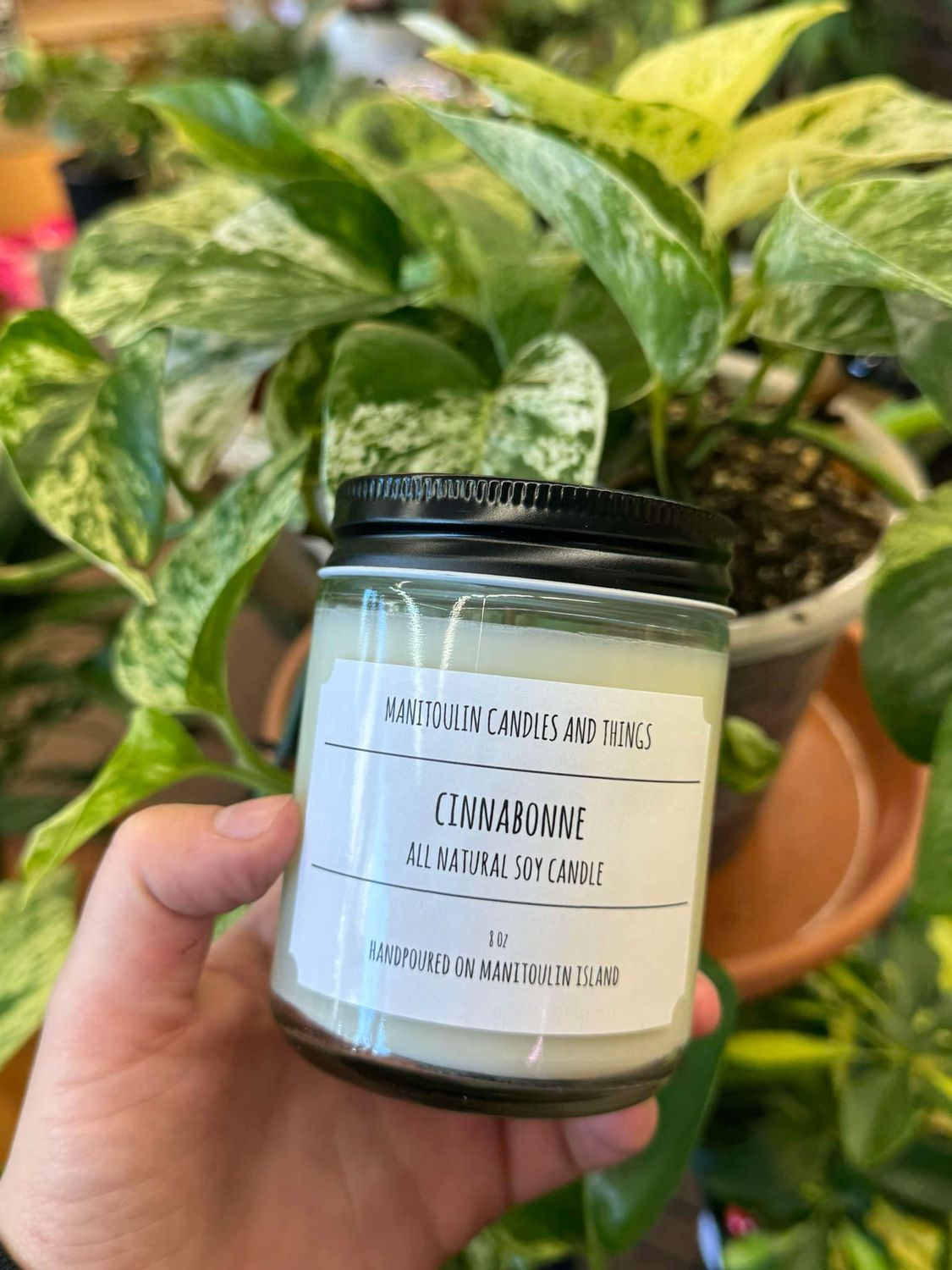 Cinnabonne Scented Candle - 8 oz Clear Jar