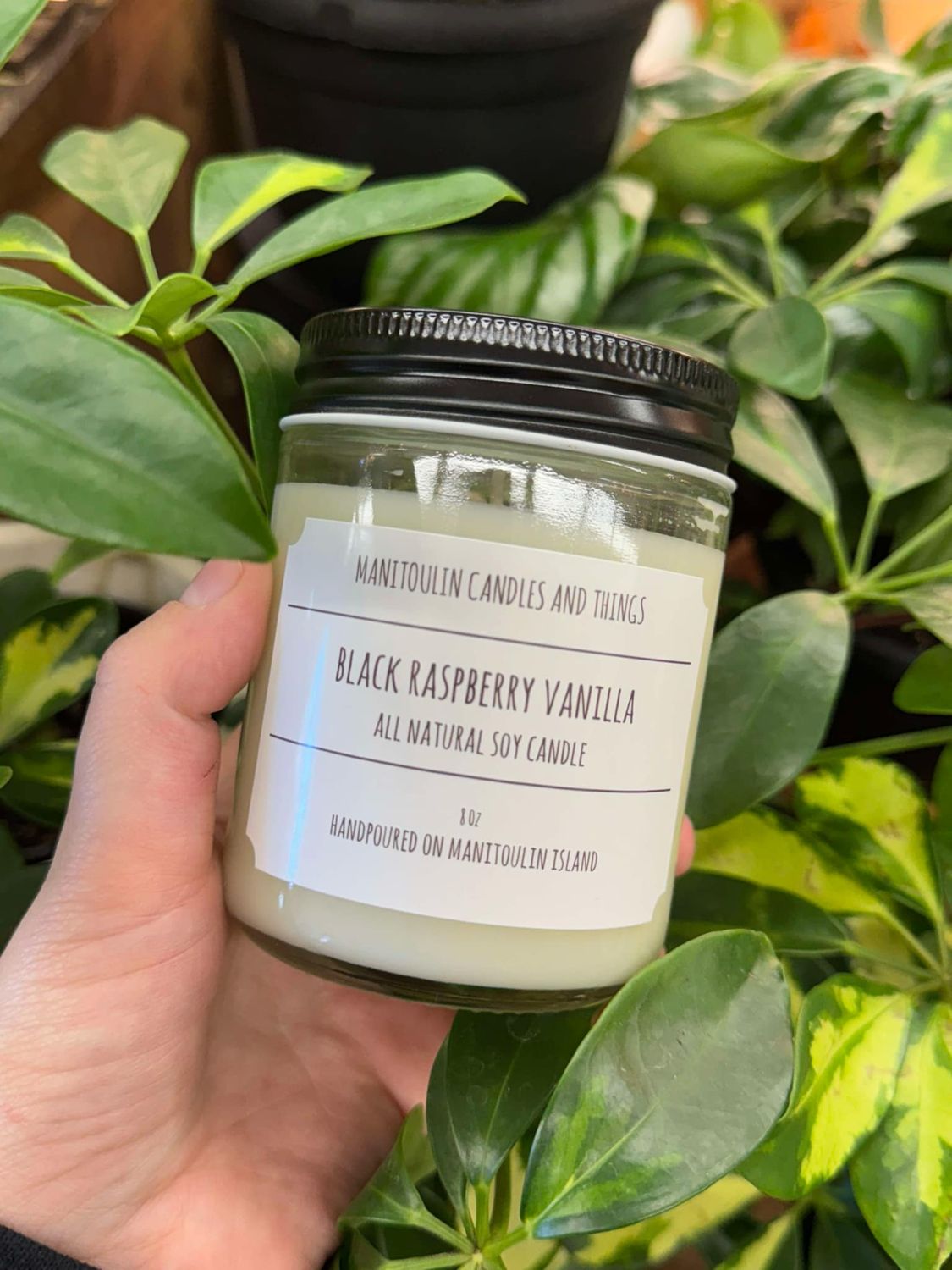 Black Raspberry Vanilla Scented Candle - 8 oz Clear Jar