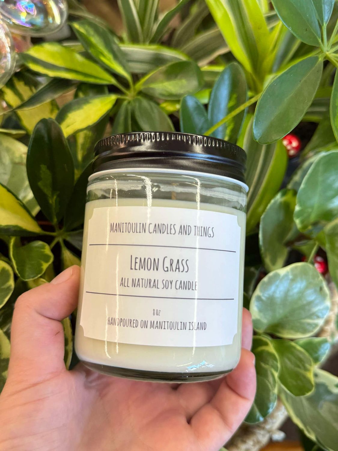 Lemon Grass Scented Candle - 8 oz Clear Jar