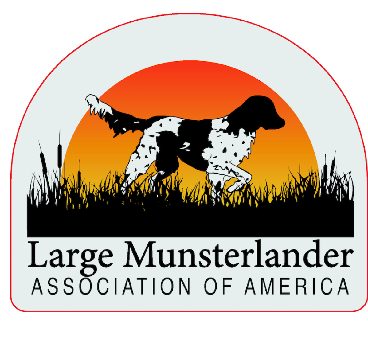 LMAA 4x6 Decal