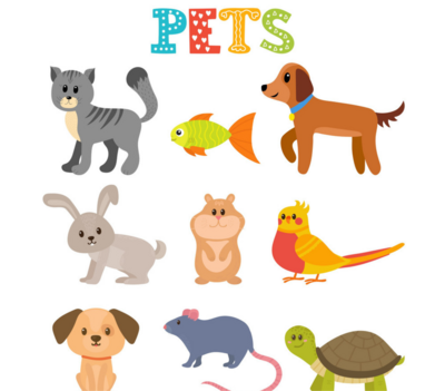 Pets / Animals Tumblers
