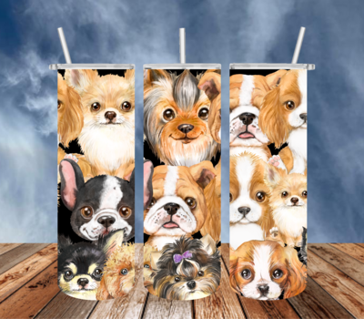 Puppies