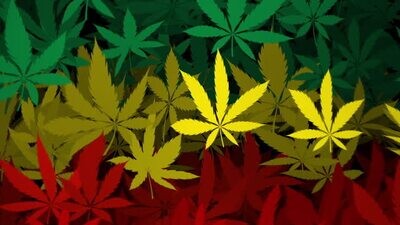 420 Tumblers