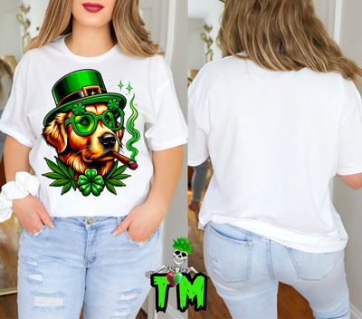 Cool St Pats Labrador