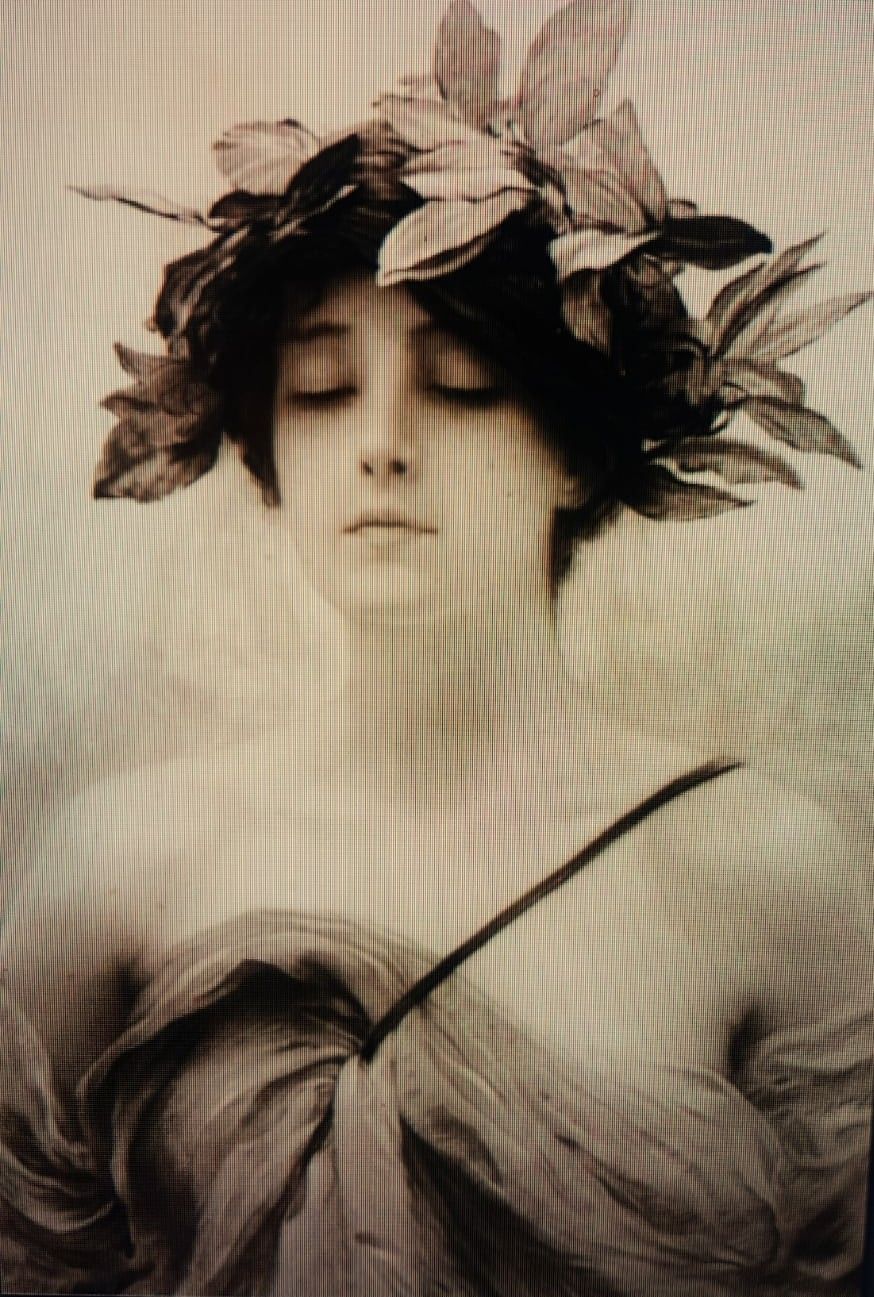 Sepia Lady Small Velvet Panel