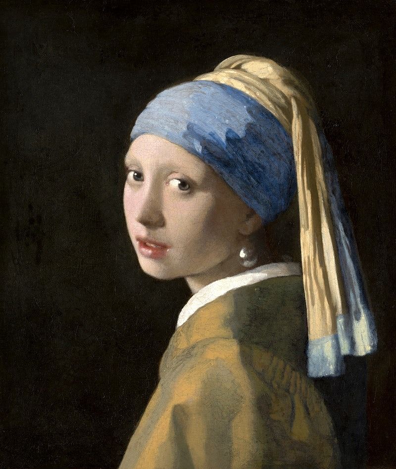 Girl with the Pearl Earring Small Velvet Panel