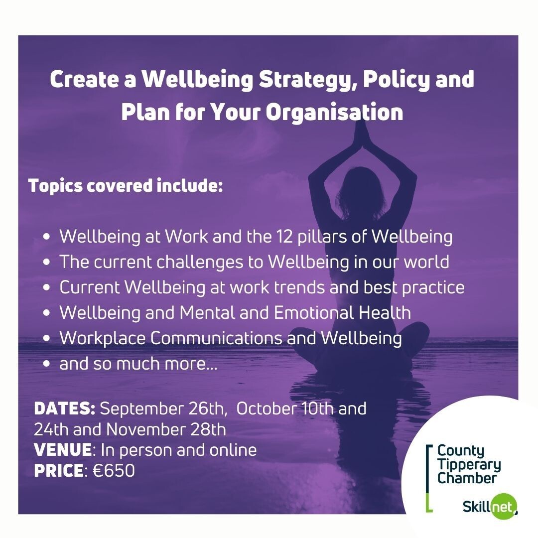 Create a Wellbeing Strategy, Policy and Plan for your Organisation