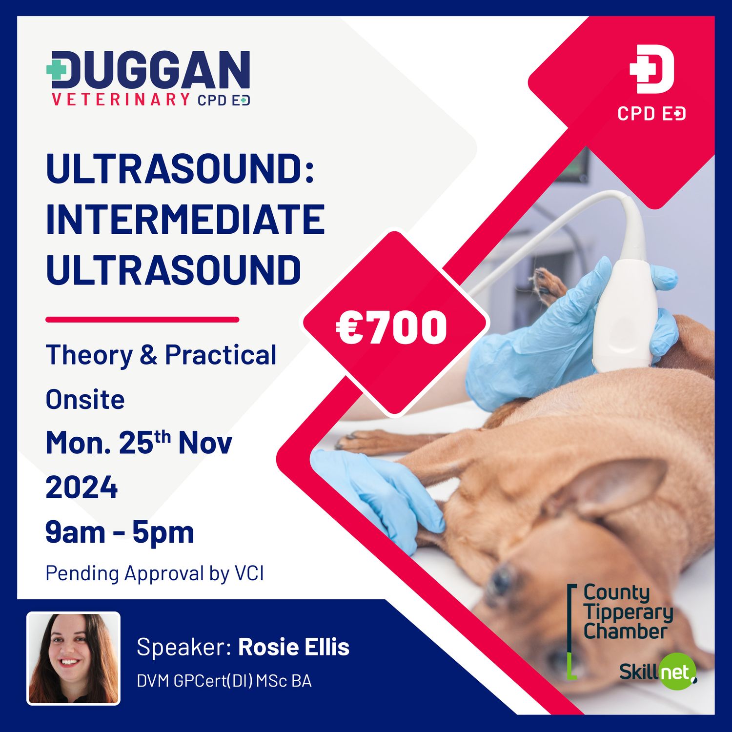 Ultrasound: Intermediate Ultrasound