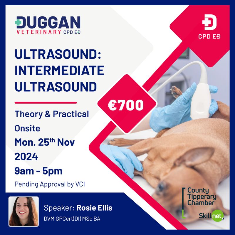 Ultrasound: Intermediate Ultrasound