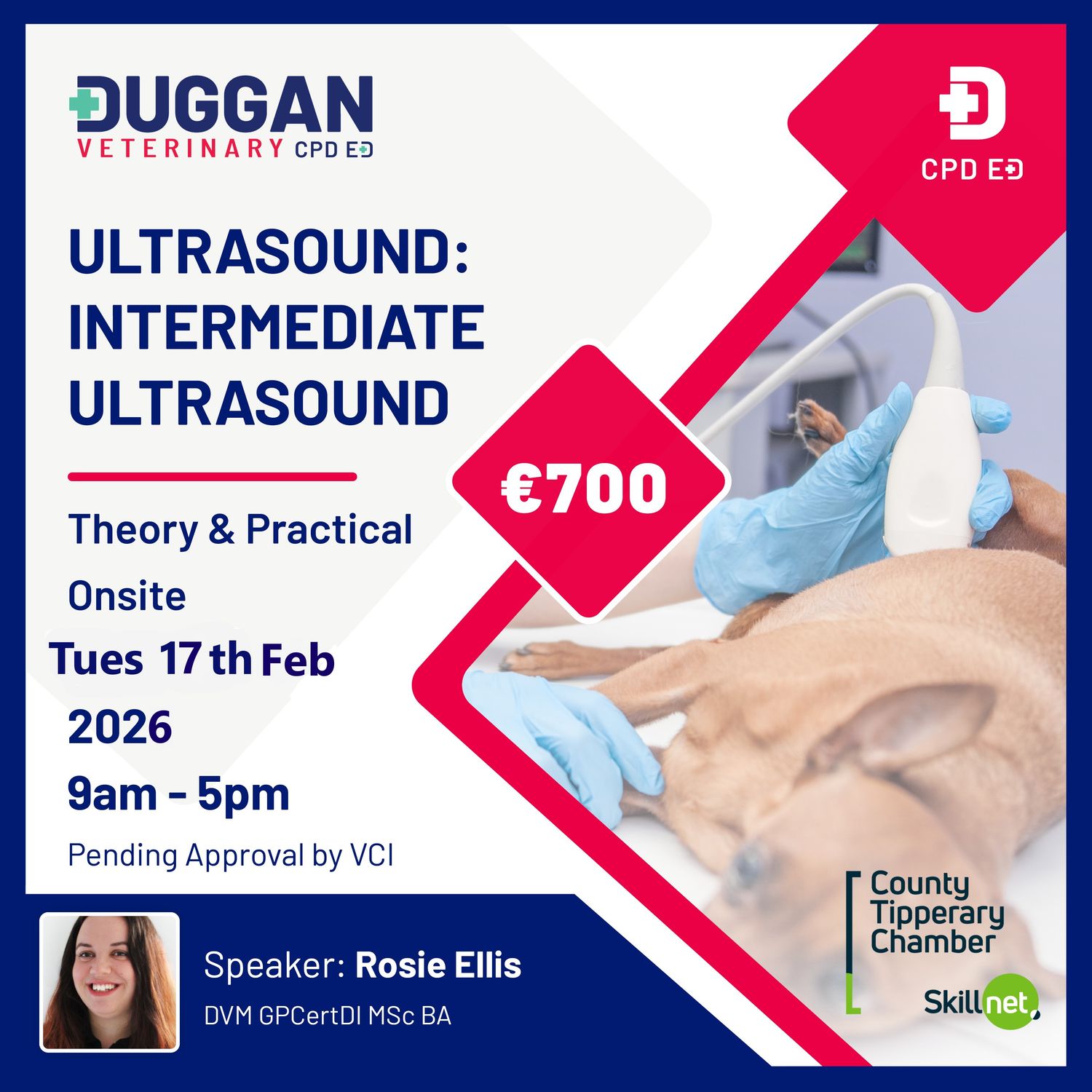 Intermediate Ultrasound