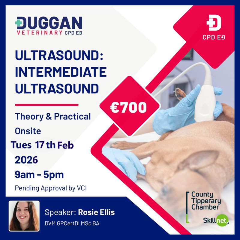 Intermediate Ultrasound