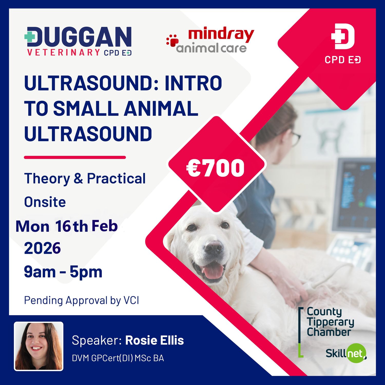 Ultrasound: Intro To Small Animal Ultrasound