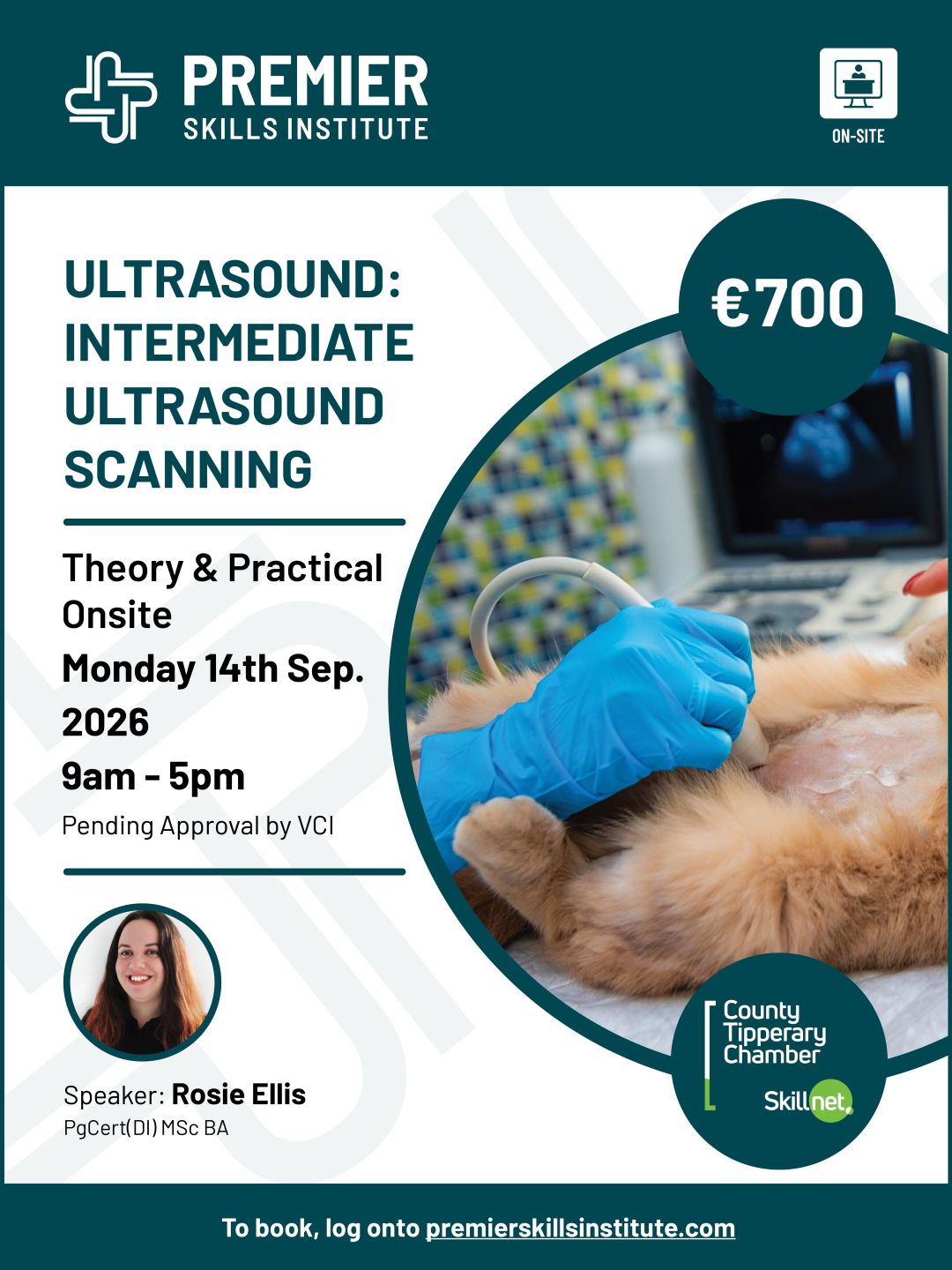Intermediate Ultrasound