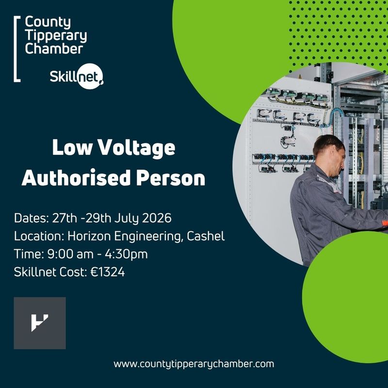 Low Voltage Authorised Person (LVAP)