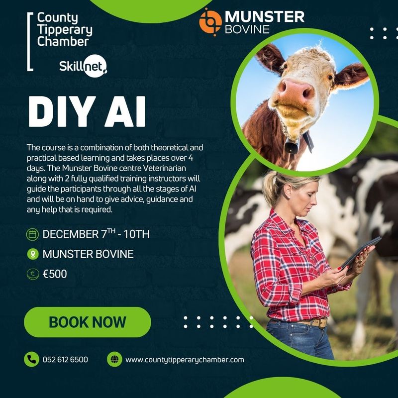 DIY AI