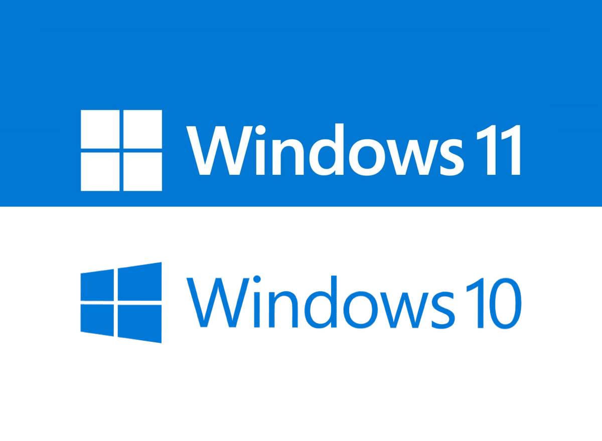 Windows 10/11 (OS)