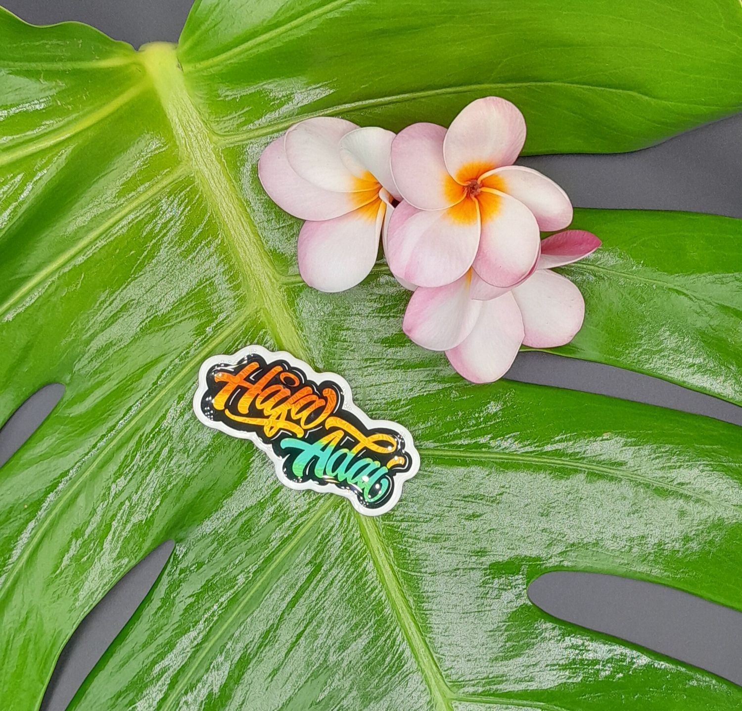 HAFA ADAI MULTI-COLOR