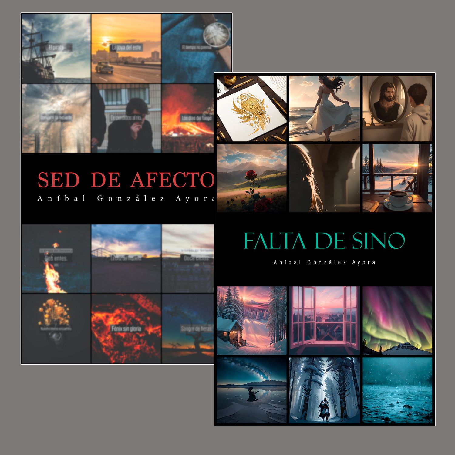 ANÍBAL GONZÁLEZ AYORA - FALTA DE SINO + SED DE AFECTO - PACK 2 LIBROS