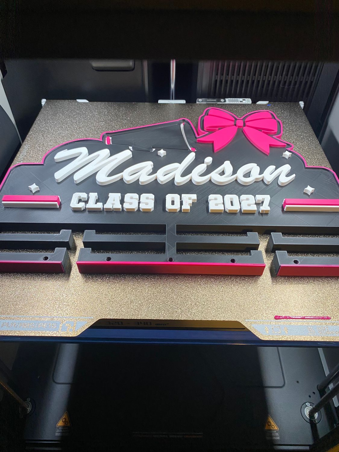 Personalized Cheer Senior 3D Wall Display