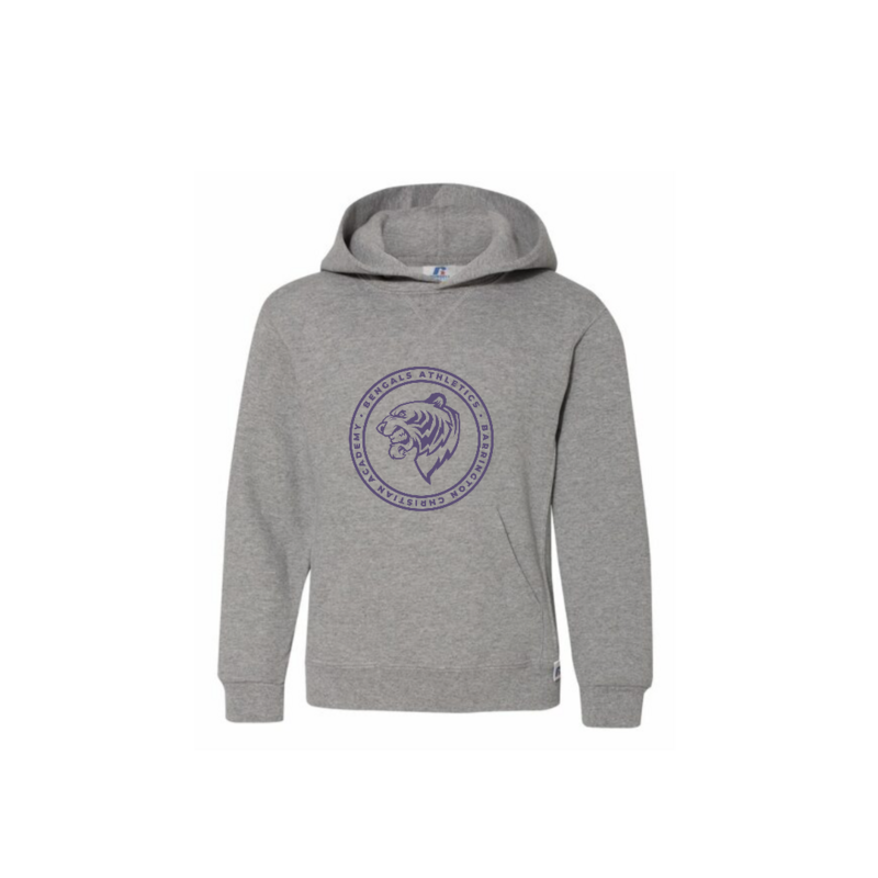 Youth Gray Hoodie with Purple Athletic Logo