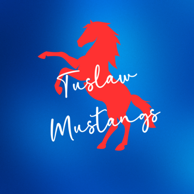 Tuslaw Mustang Shop