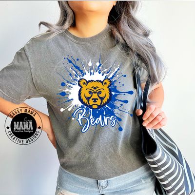 St Mary Bears Color Splash