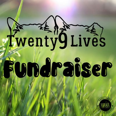Twenty9 Lives Fundraiser