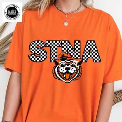 Massillon Tiger Swing Band STNA