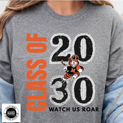 🔥 Tiger Rising 2030 Edition