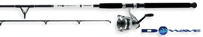 Daiwa D-wave Spinning Combo