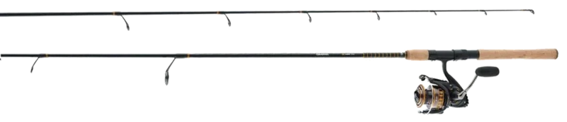 Daiwa BG Spinning Combo