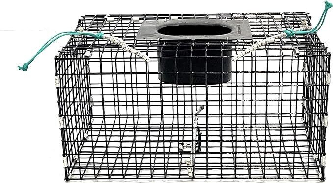 Green Crab Trap
