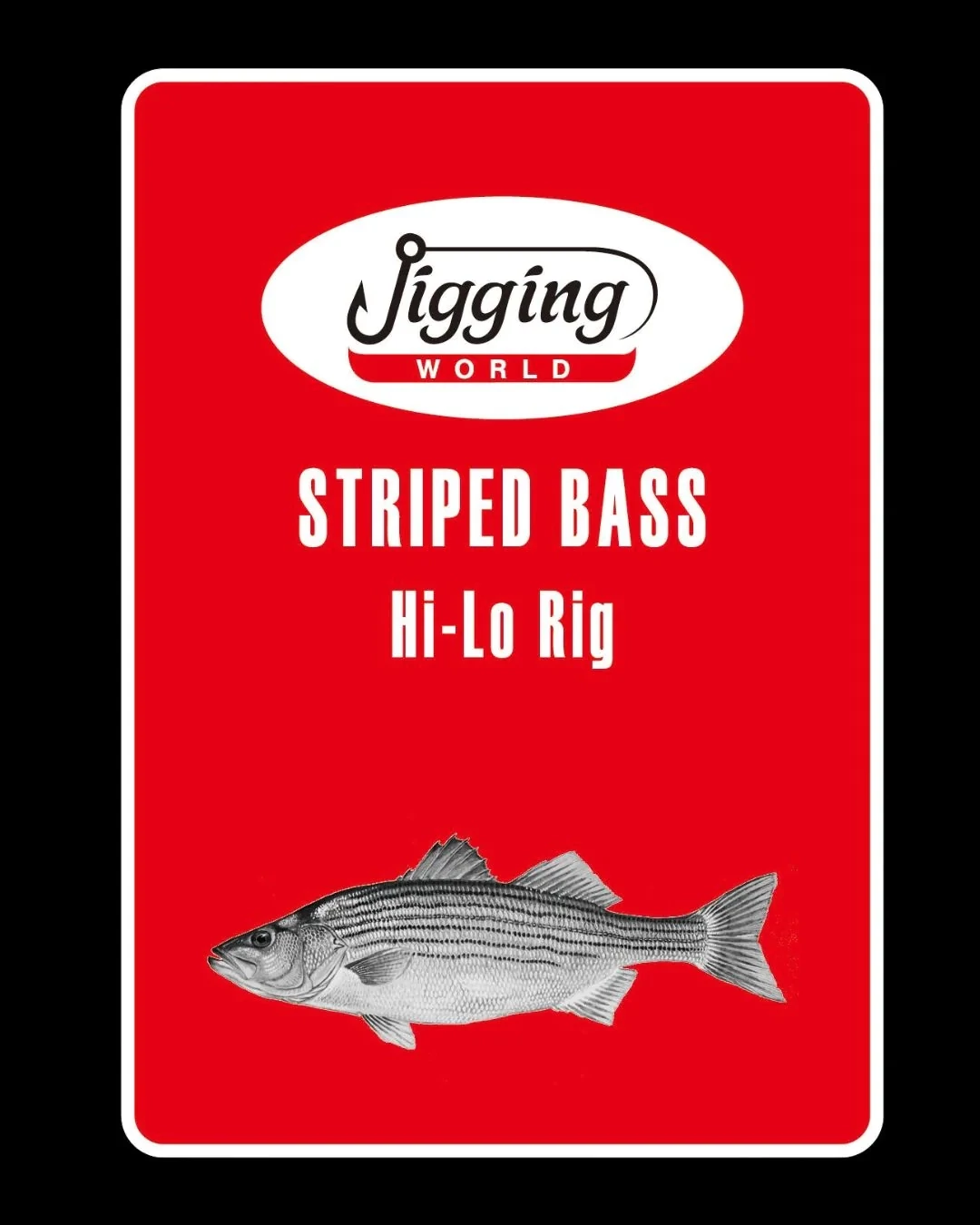 Jigging World Striper Bass Hi-lo Rig