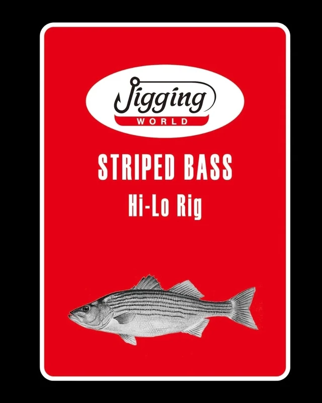Jigging World Striper Bass Hi-lo Rig