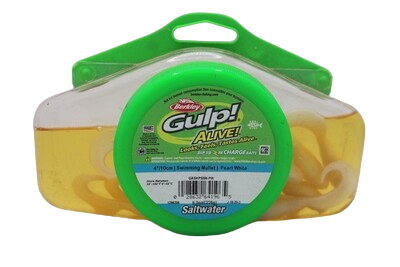 Gulp 1/2 Pint Jar