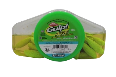 Berkley Gulp  1 Pint Jar