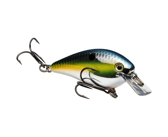 SK Kvd 1.0