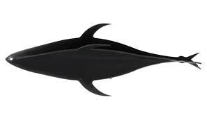 Fish Razr Dredge FlapZ