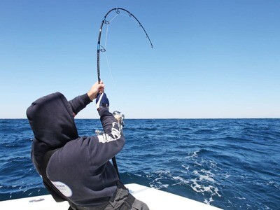 Rods