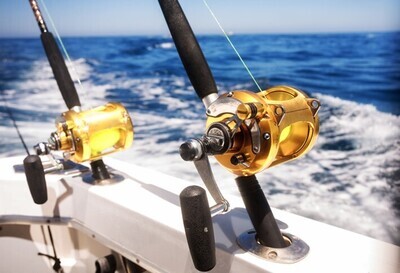 Reels