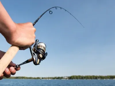 Rods