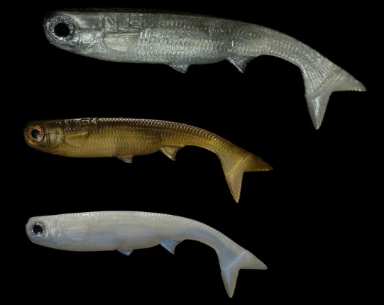 NLBN 5&quot; K-Tail