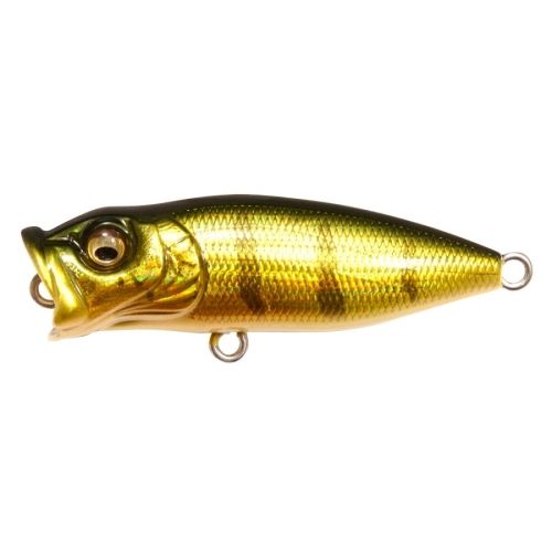 Megabass Baby Pop-X, Color/Size: GG Perch