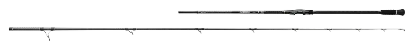 Daiwa Blackline Surf Rod (Spin)
